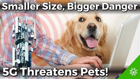 Could 5G EMFs Be Slowly Making Your Pet Sick?