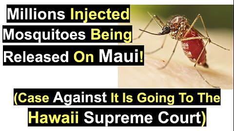 Millions Injected Mosquitoes Being Released On Maui!