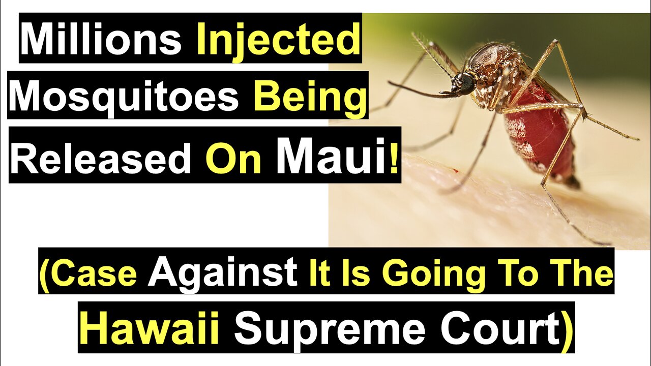 Millions Injected Mosquitoes Being Released On Maui!