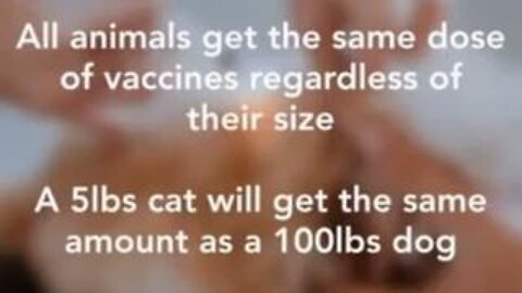 Dr. John Robb's Testimony to Amend the Rabies Law