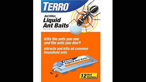 How to get rid of ants in house