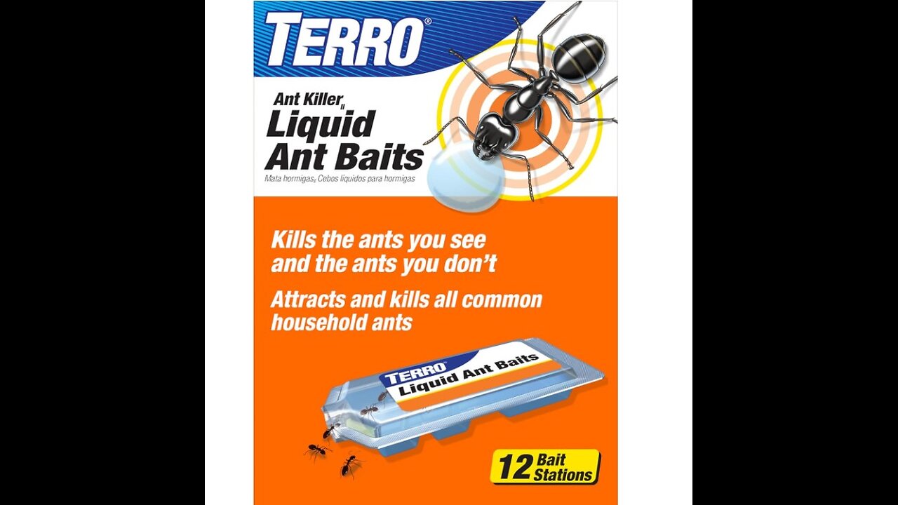 How to get rid of ants in house