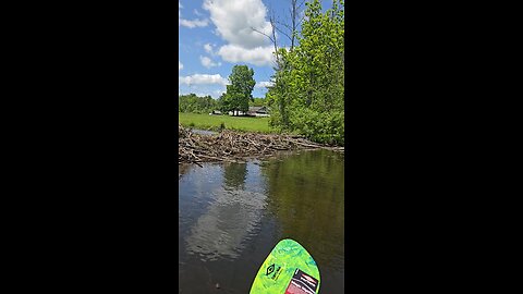 Beaver dam