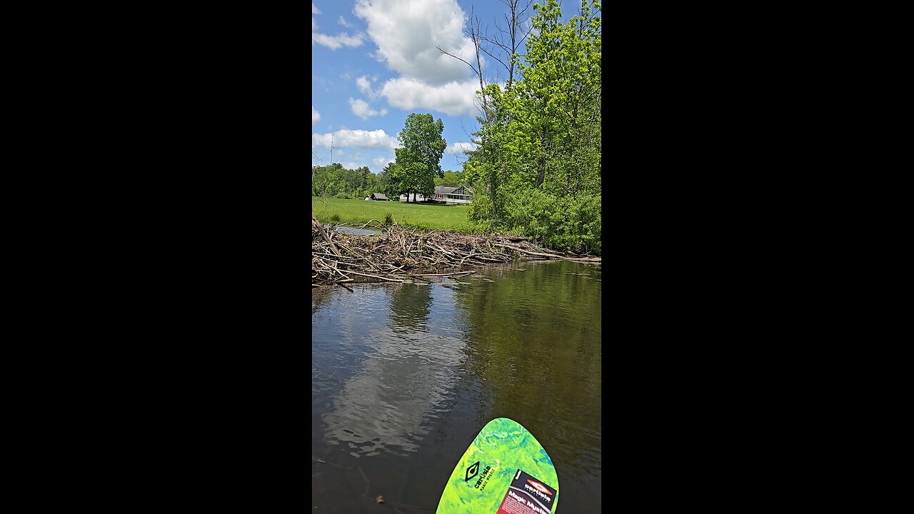 Beaver dam