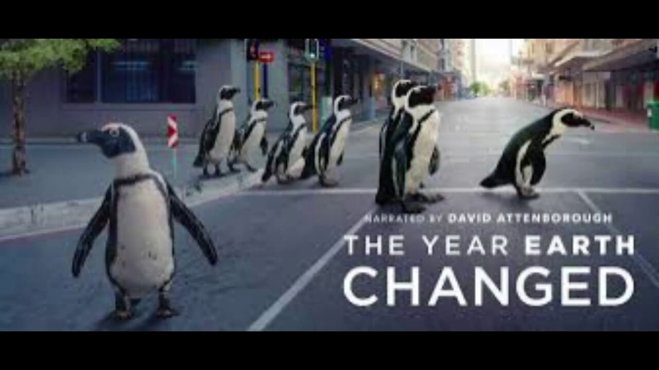 The Year Earth Changed (2021) documentary