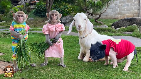 A happy day of YiYi and YinYin and friends