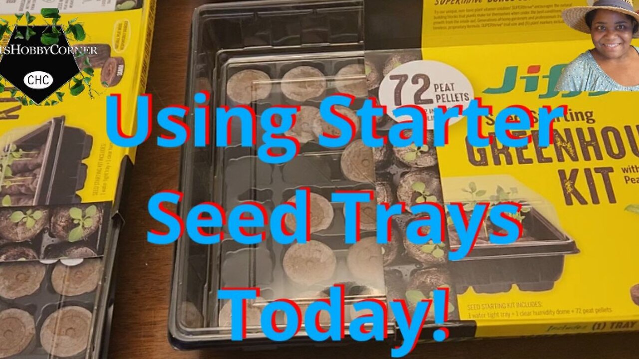 Let's Use These Seed Starter Kits Today - #catshobbycorner