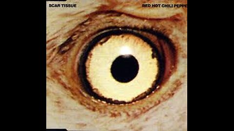 Red Hot Chili Peppers - Scar Tissue