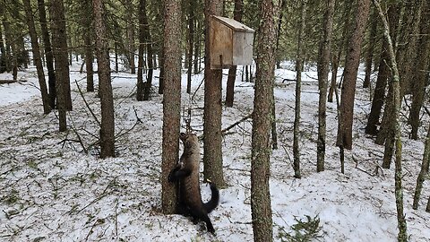 Success on a Little Line. February 7, 2026