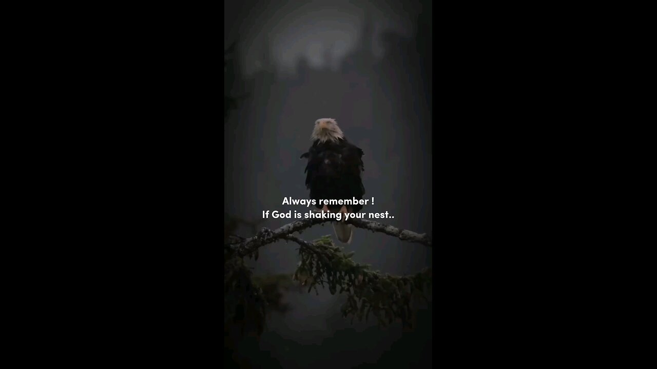 ALWYAS REMEMBER THE PLAN OF GOD
