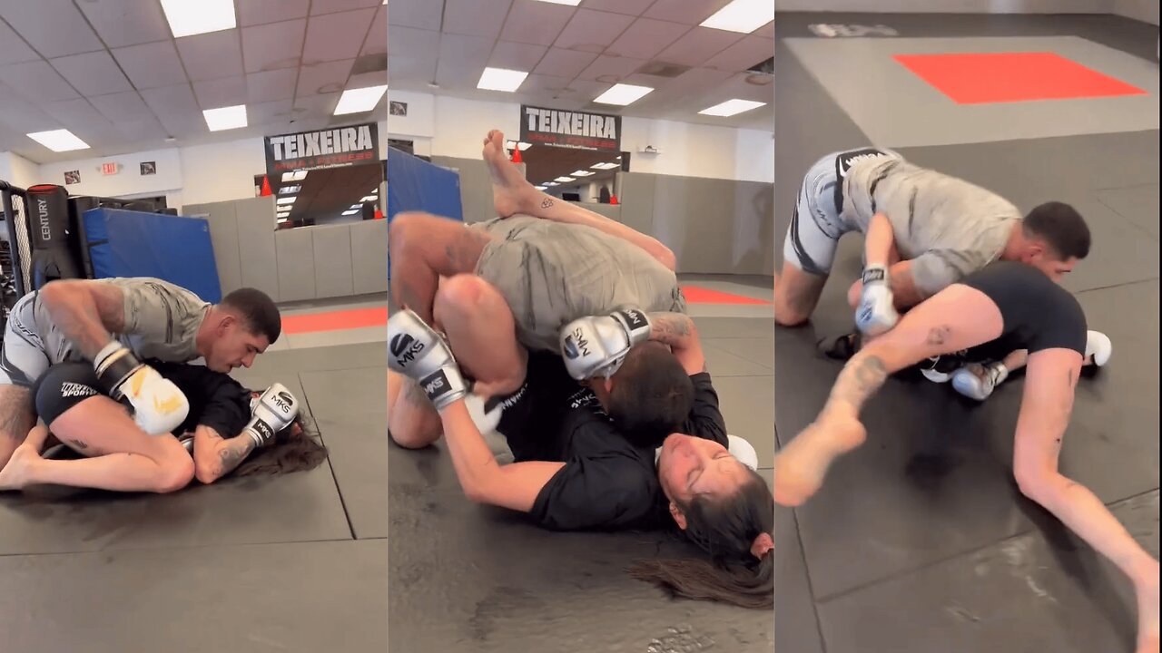 Alex Pereira Grapple with Polyana Viana