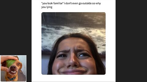 Memes That Will 99.0556% Make You Laugh. (e780)