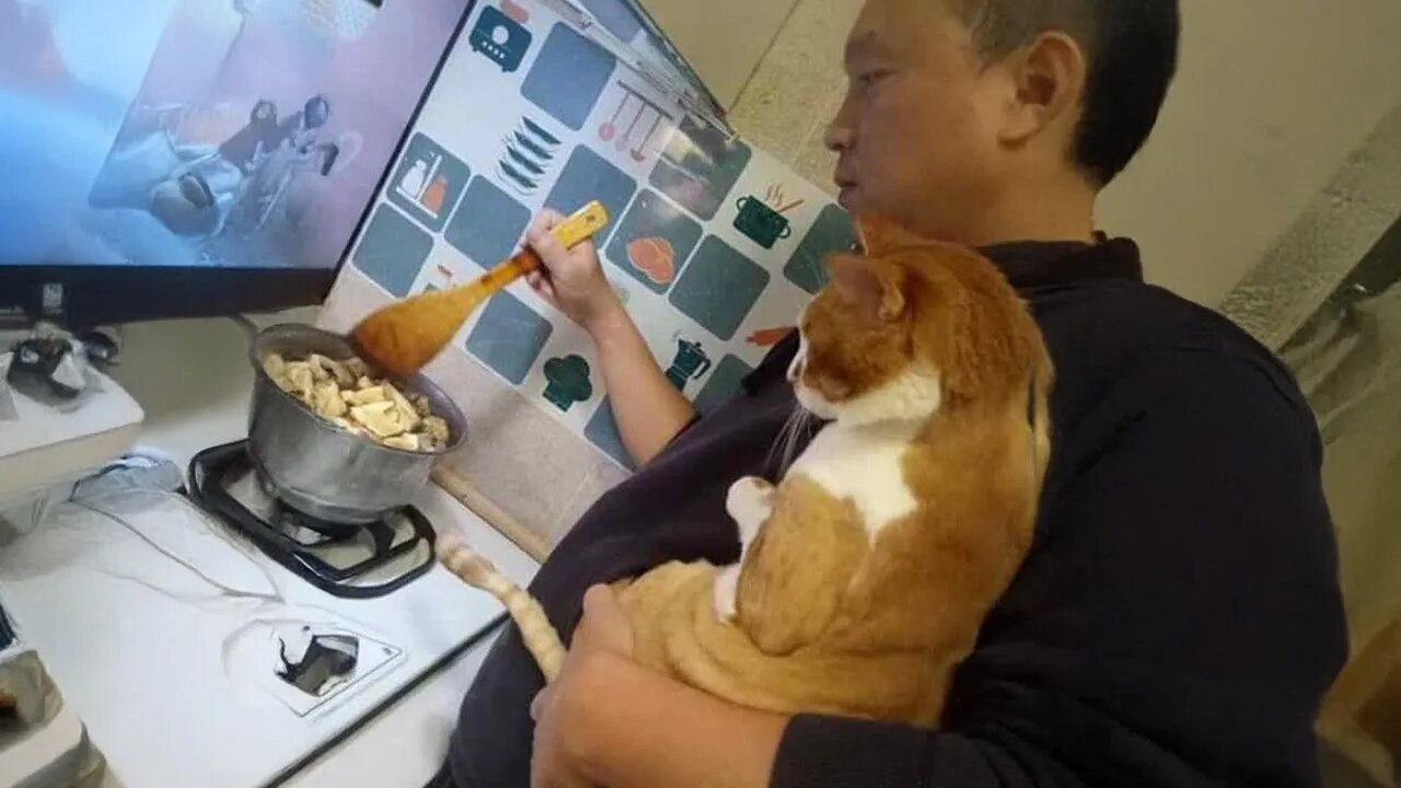 I have a best friend called Cat 😂 Cat and Human Moments