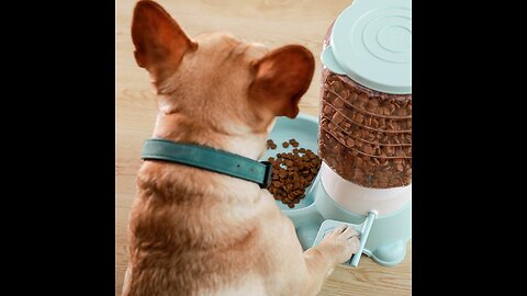 PET PRODUCTS