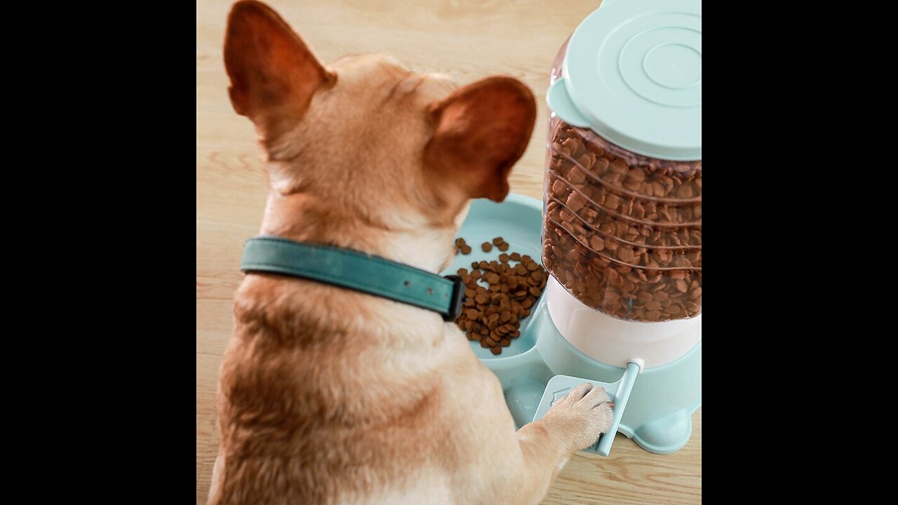 PET PRODUCTS