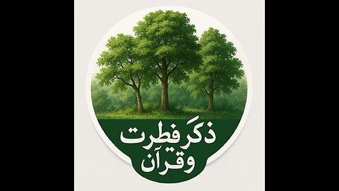 surah Yasin, peaceful quran recitation