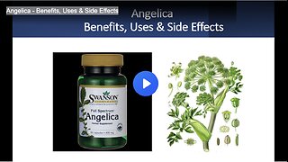 Angelica - Benefits, Uses & Side Effects