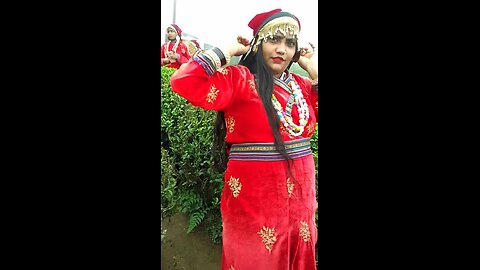 Inside the tea garden of Darjeeling