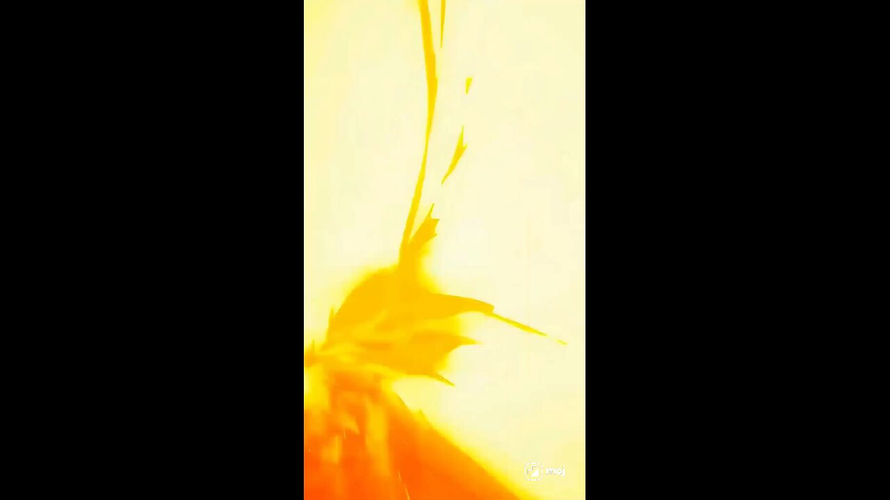 Fire Force