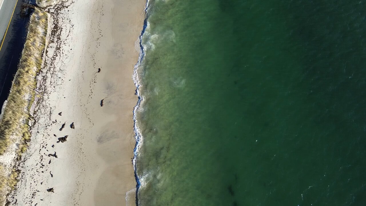 Iconic Cape Cod