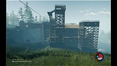 The Forest + other stuff