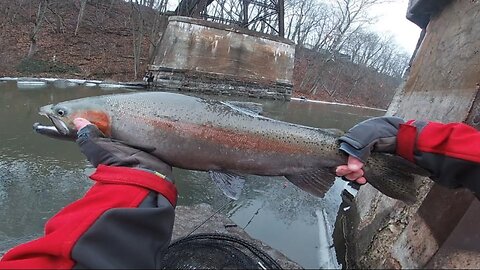 Hunting for the First Steelhead of 2022!