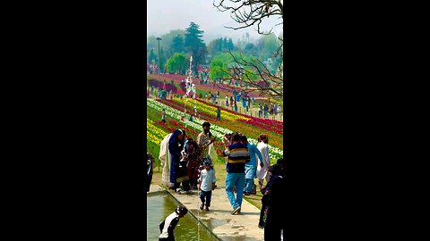 Beauty of Kashmir