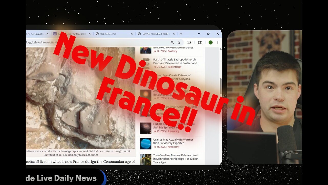New Dinosaur Species Discovered in France...