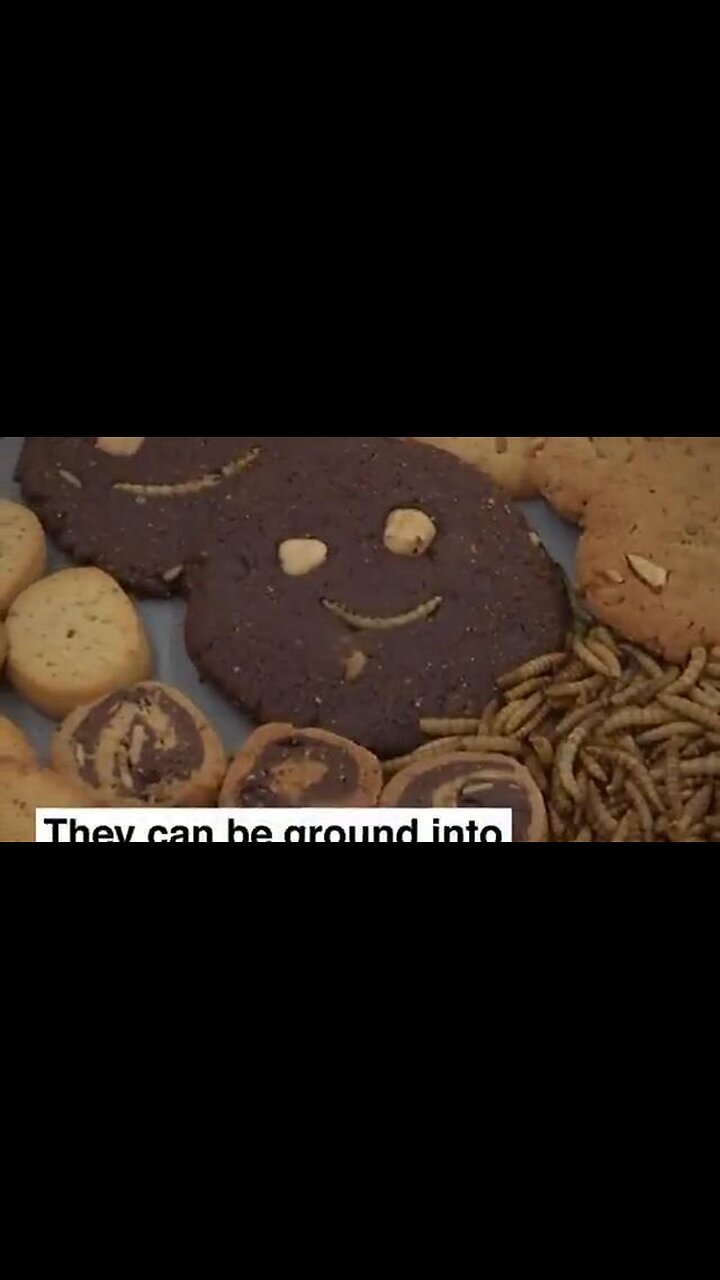 WEF: The EU has approved mealworms for your dinner plate