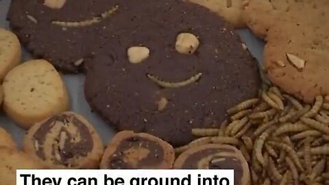 WEF: The EU has approved mealworms for your dinner plate