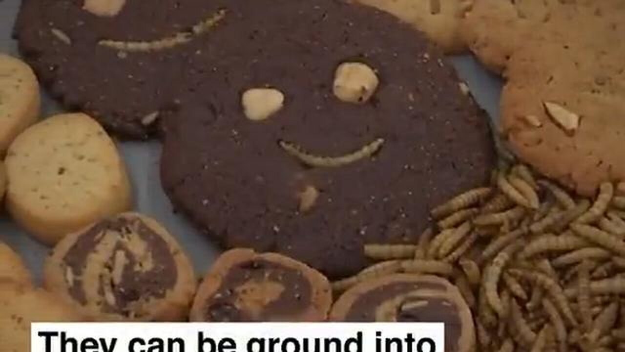 WEF: The EU has approved mealworms for your dinner plate