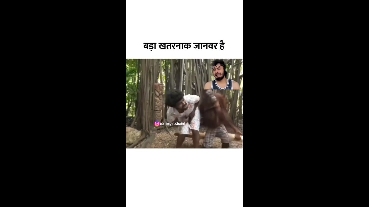 Try Not To Laugh | Funny Meme Video