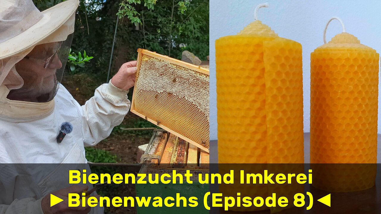 Bienenzucht und Imkerei mit Hartmut [Episode 08] 🇩🇪 (2024-07)