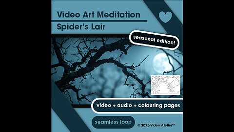 Video Art Meditation Relaxation Stress-Relief "Spider's Lair" Nature Ambient Halloween Spooky Forest
