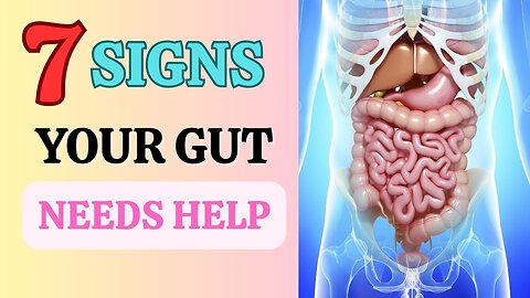 7 Common Signs Your Gut Needs Help And How to Solve Them -HR17