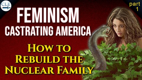 [p1] If Feminists Killed All Men, Who Would Keep the Lights On? | 1-11-26