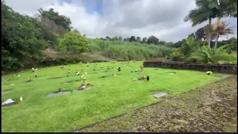 JUAN O SAVIN NOV 4TH VER 2