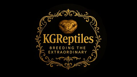 Carpet python cage design...