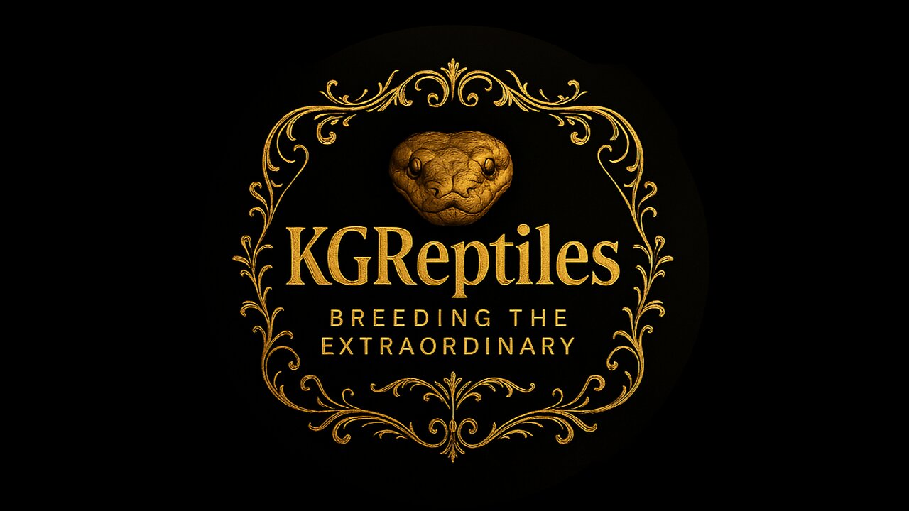 Carpet python cage design...