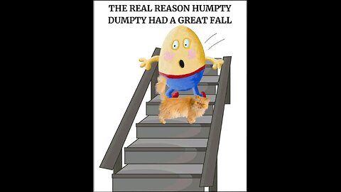 Sane in a insane world