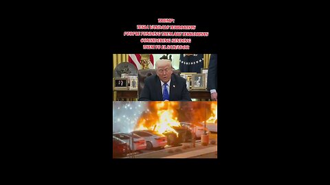 Tesla VANDALS ARE terrorists