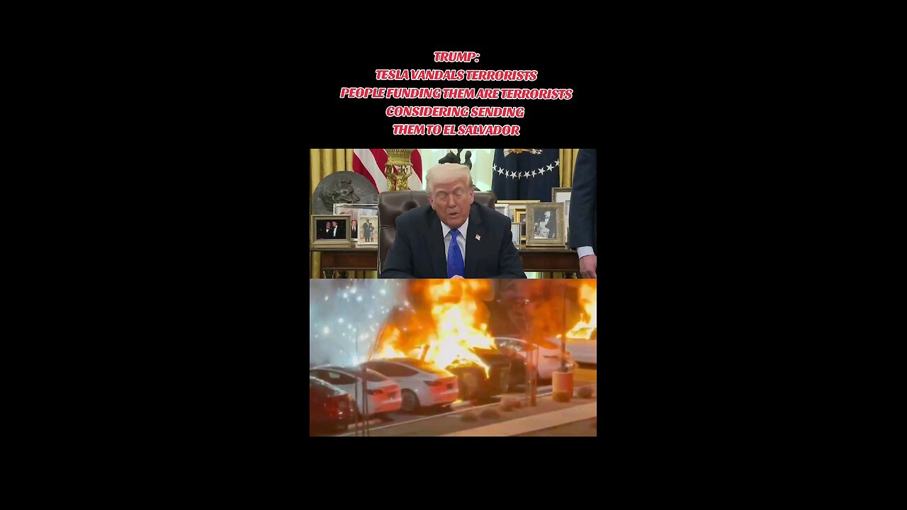 Tesla VANDALS ARE terrorists