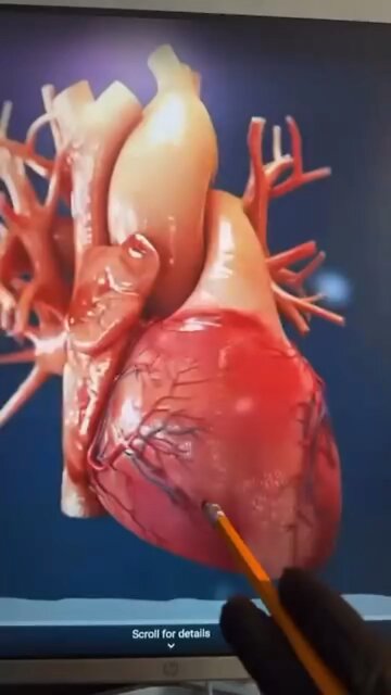 THE HIDDEN VORTEX INSIDE YOUR CHEST 🌀❤️