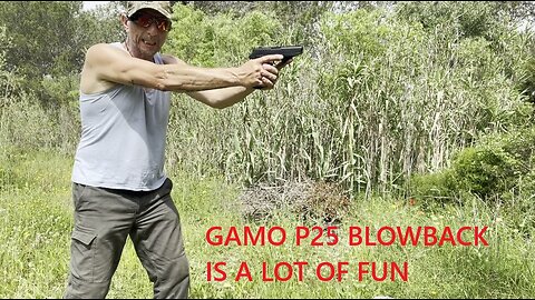 GAMO P25 BLOWBACK - Juguete muy divertido