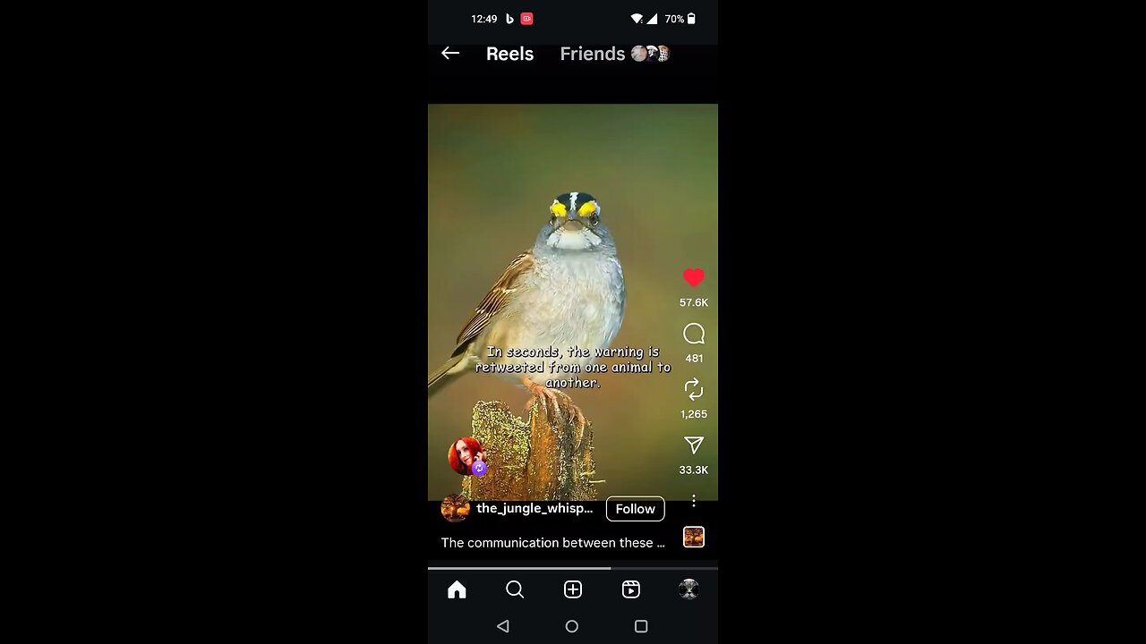 The Gashawk Analogy
