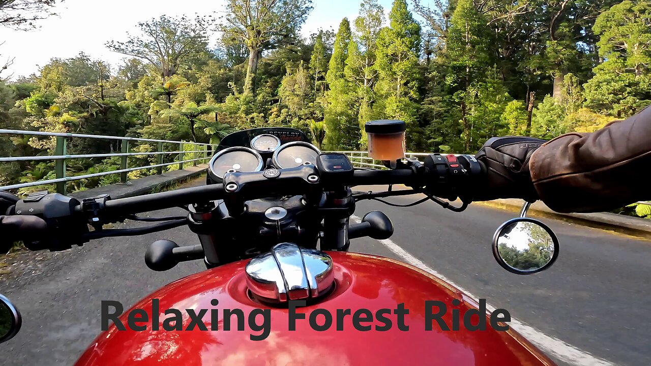 Relaxing Forest Ride | 865cc Interceptor