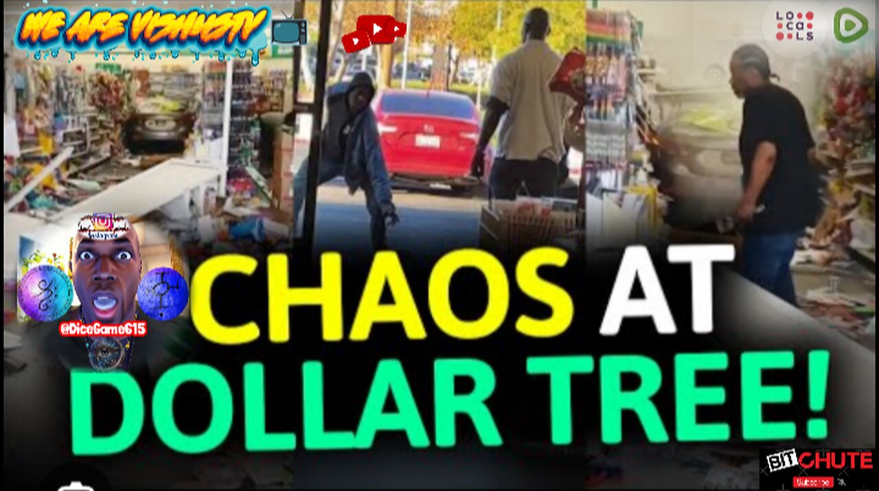 CHAOS At Dollar 💵 Tree...🌲 #VishusTv 📺