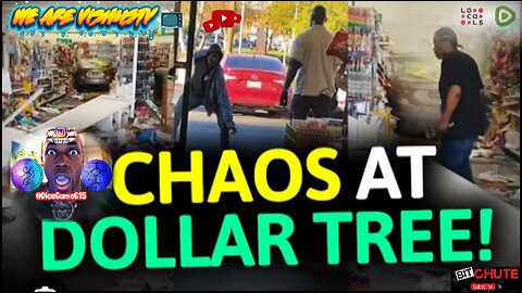 CHAOS At Dollar 💵 Tree...🌲 #VishusTv 📺