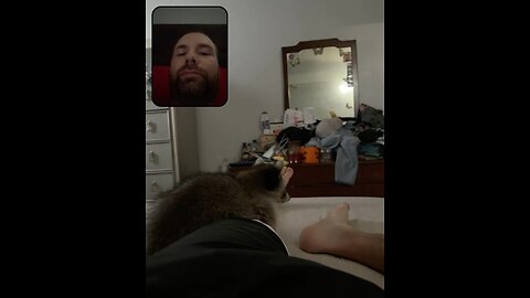 Mornings with Mr Fluff