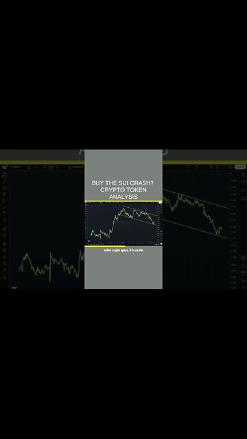 Buy The Sui Crash? 🤔 Crypto Token Analysis